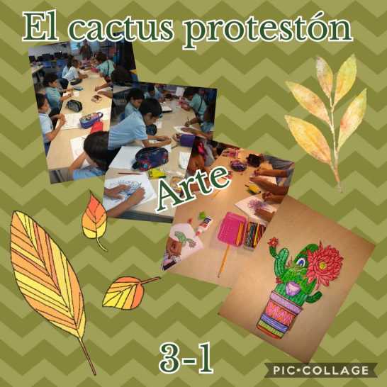 cactus proteston #2 - 3-1
