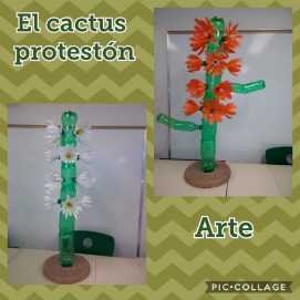 cactus - reciclaje